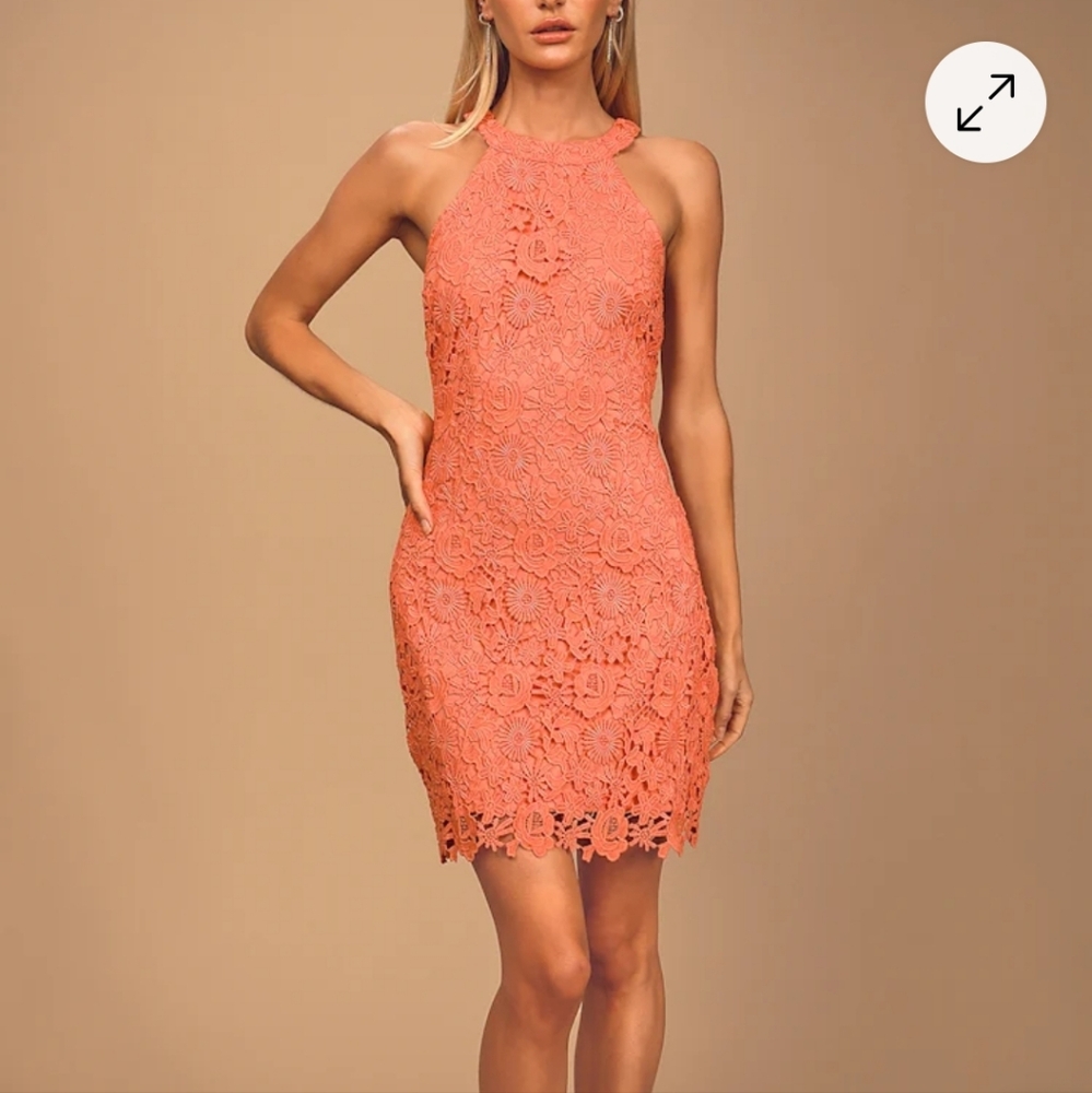 LULUS Love Poem Coral Orange Lace Mini Dress - Medium